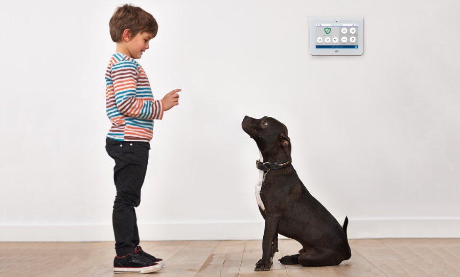 Foster security systems